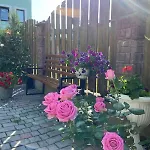 S'vitt 3* Skhidnytsia