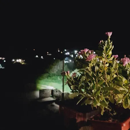 S'vitt Guest house