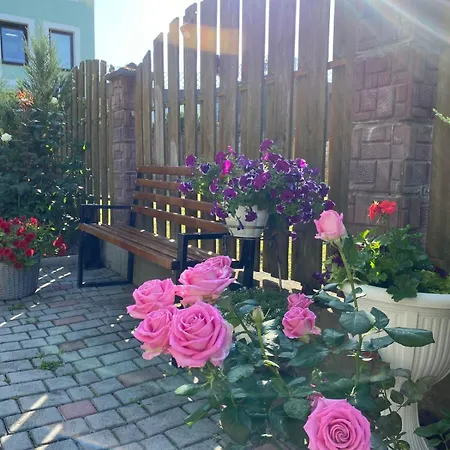 S'vitt 3* Skhidnytsia