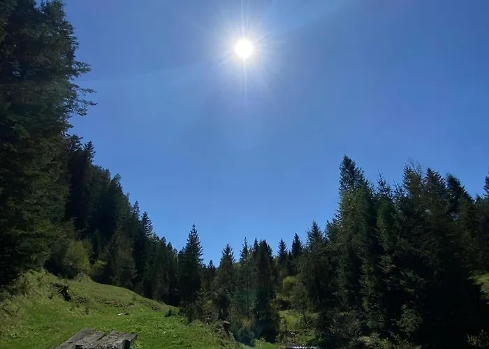 S'vitt ゲストハウス Skhidnytsia