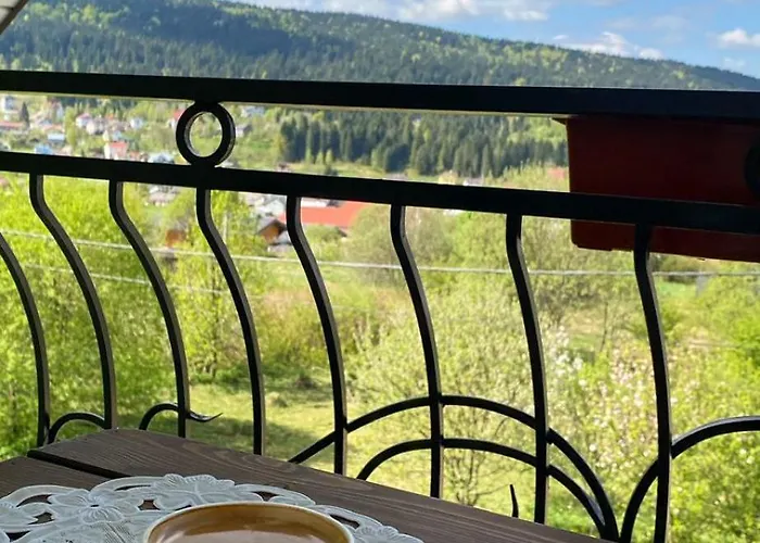 ゲストハウス S'vitt Skhidnytsia