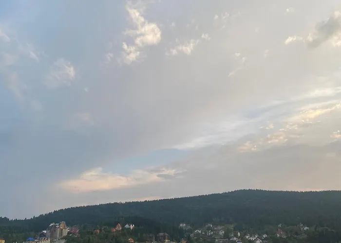 S'vitt ゲストハウス Skhidnytsia