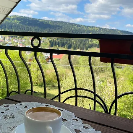 بيت ضيافة S'vitt Skhidnytsia